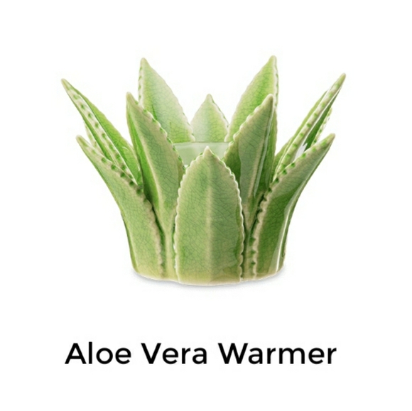 Scentsy | Other | Scentsy Aloe Vera Warmer | Poshmark